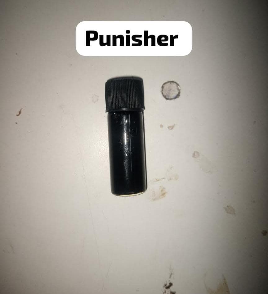 The punisher