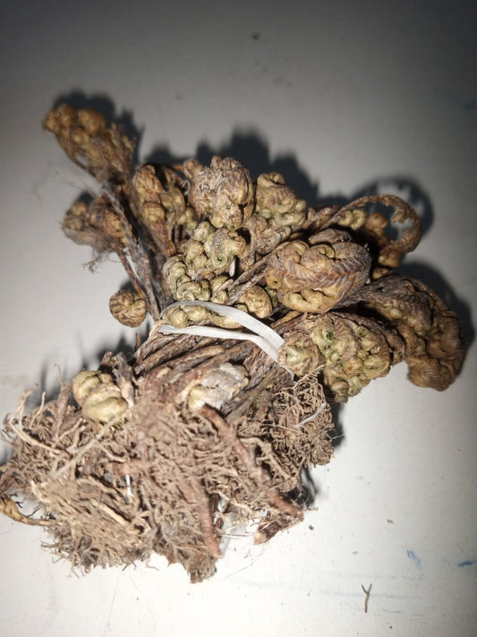 Esifumbathi umuthi powder